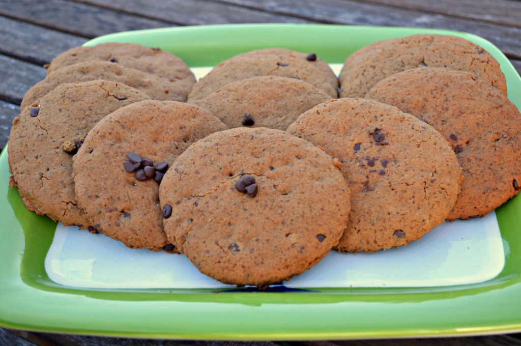 Chocolate Chip Molasses Cookies