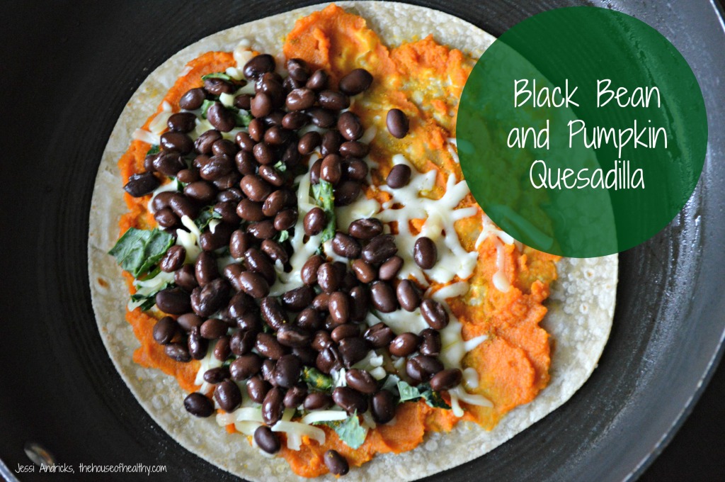 Black Bean Pumpkin Quesadilla